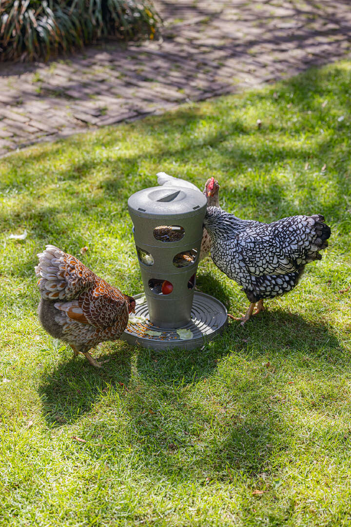 beeztees Hühner Futterturm